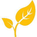 Thyme Logo
