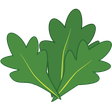 Kale Logo