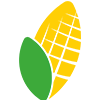 Maize Logo